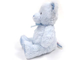 Baby GUND My First Teddy Sound Toy Stuffed Animal Plush, Blue, 10"